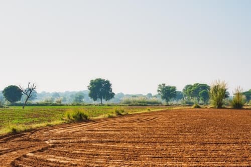 4 Biswa Agricultural Land in Ganeshpur